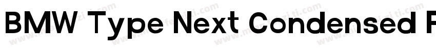 BMW Type Next Condensed Pro Light字体转换